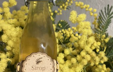 Sirop de mimosa