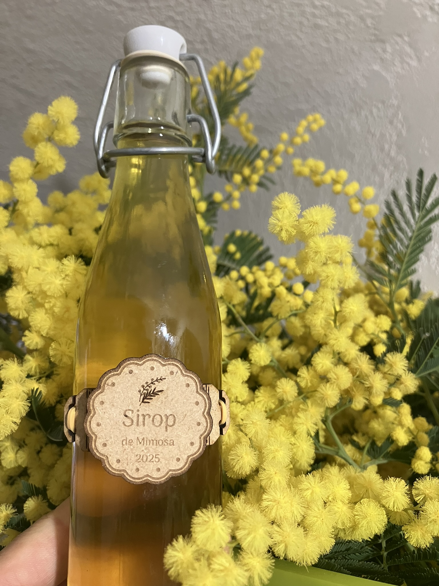 Sirop de mimosa