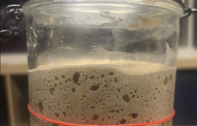 fiche pratique levain et tips